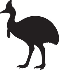 a cassowary vector
