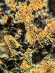 Needle-like crystals under polarized microscope showing vivid birefringence