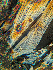 Radial crystal structures under polarized microscope with colorful edge