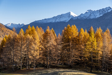 Sestrière, Piemonte (Italy)
