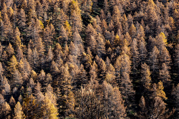 Sestrière, Piemonte (Italy)