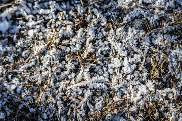 Sestrière, Piemonte (Italy)