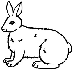 Arctic Hare Rabbit Line Art Cartoon Vector Drawing