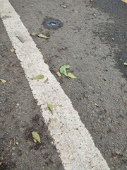 White lines on the asphalt road surface for driver safety when crossinggreen grass and asphalt