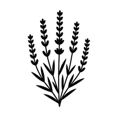 Elegant Lavender Silhouette Art & Illustration