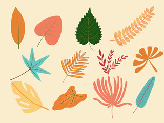 Tropical and autumn leaves clipart bundle in vibrant colors, ideal for nature-themed projects.