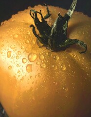 Close-up of a fresh yoked yellow tomato with water droplets and dark green sepals on a black background, detailed macro shot highlighting texture and natural freshness