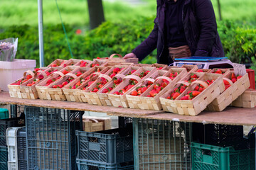 Stoisko z truskawkami na targu &ndash; sprzedaż świeżych owoc&oacute;w