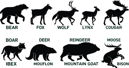A detailed vector illustration of various wild forest animals in black silhouette style on a white background. Include multiple poses of each animal. Animals featured should include: bear, fox, wolf, 