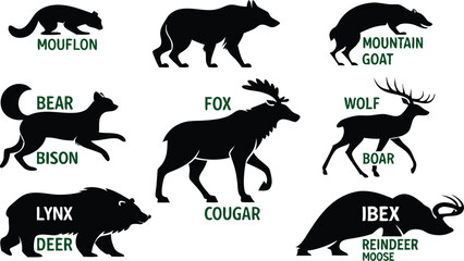 A detailed vector illustration of various wild forest animals in black silhouette style on a white background. Include multiple poses of each animal. Animals featured should include: bear, fox, wolf, 