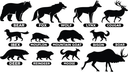 A detailed vector illustration of various wild forest animals in black silhouette style on a white background. Include multiple poses of each animal. Animals featured should include: bear, fox, wolf, 