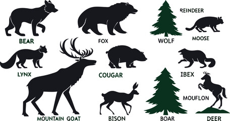 A detailed vector illustration of various wild forest animals in black silhouette style on a white background. Include multiple poses of each animal. Animals featured should include: bear, fox, wolf, 