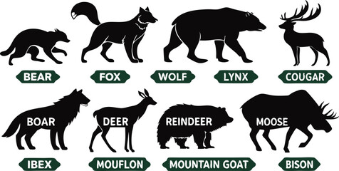 A detailed vector illustration of various wild forest animals in black silhouette style on a white background. Include multiple poses of each animal. Animals featured should include: bear, fox, wolf, 