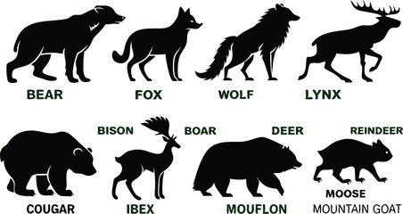 A detailed vector illustration of various wild forest animals in black silhouette style on a white background. Include multiple poses of each animal. Animals featured should include: bear, fox, wolf, 