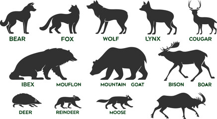 A detailed vector illustration of various wild forest animals in black silhouette style on a white background. Include multiple poses of each animal. Animals featured should include: bear, fox, wolf, 
