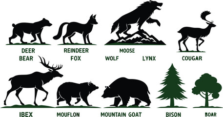A detailed vector illustration of various wild forest animals in black silhouette style on a white background. Include multiple poses of each animal. Animals featured should include: bear, fox, wolf, 