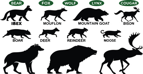 A detailed vector illustration of various wild forest animals in black silhouette style on a white background. Include multiple poses of each animal. Animals featured should include: bear, fox, wolf, 
