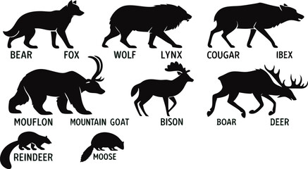 A detailed vector illustration of various wild forest animals in black silhouette style on a white background. Include multiple poses of each animal. Animals featured should include: bear, fox, wolf, 
