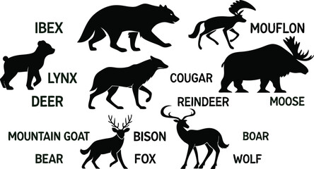A detailed vector illustration of various wild forest animals in black silhouette style on a white background. Include multiple poses of each animal. Animals featured should include: bear, fox, wolf, 