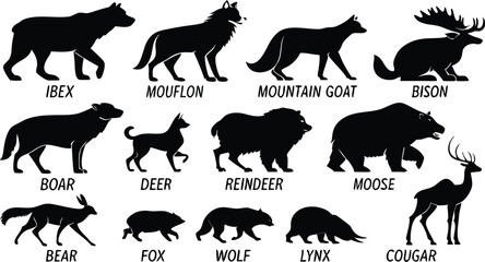 A detailed vector illustration of various wild forest animals in black silhouette style on a white background. Include multiple poses of each animal. Animals featured should include: bear, fox, wolf, 