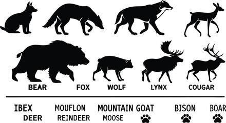 A detailed vector illustration of various wild forest animals in black silhouette style on a white background. Include multiple poses of each animal. Animals featured should include: bear, fox, wolf, 