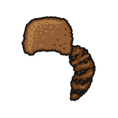 chocolate chip cookie