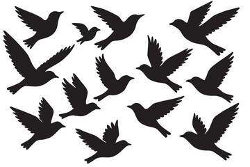 Silhouetted vector artwork of flying birds, showcasing a variety of bird types soaring gracefully through the sky in natural, scattered formation.

