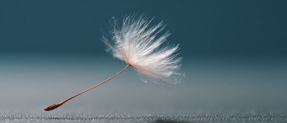 A single dandelion seed floats gracefully, every detail of its delicate form captured against a gentle, serene backdrop.