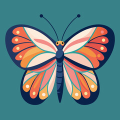 colorful butterfly vector illustration