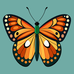 colorful butterfly vector illustration