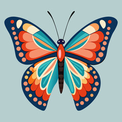 colorful butterfly vector illustration
