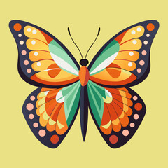colorful butterfly vector illustration