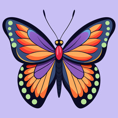 colorful butterfly vector illustration