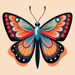colorful butterfly vector illustration