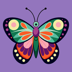 colorful butterfly vector illustration