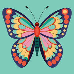 colorful butterfly vector illustration
