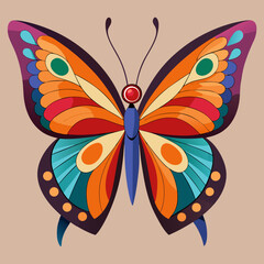 colorful butterfly vector illustration