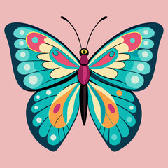 colorful butterfly vector illustration
