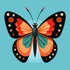 colorful butterfly vector illustration