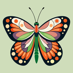 colorful butterfly vector illustration