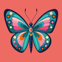 colorful butterfly vector illustration