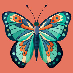 colorful butterfly vector illustration