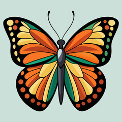 colorful butterfly vector illustration
