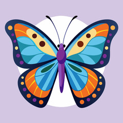 colorful butterfly vector illustration