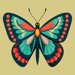 colorful butterfly vector illustration