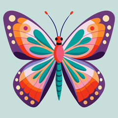 colorful butterfly vector illustration