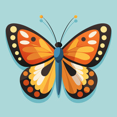 colorful butterfly vector illustration
