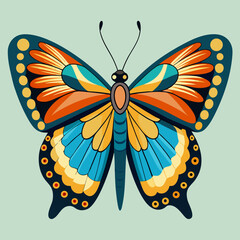 colorful butterfly vector illustration