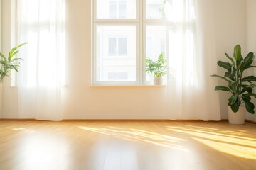 Bright interior with sunlight streaming through windows and potted plant accents