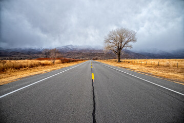 Fototapeta premium road in autumn